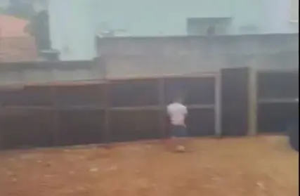 Imagem: Terreno para Venda, Vila Guiomar