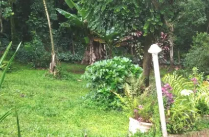 Imagem: Chácara / Sítio para Venda, Jardim Alteza