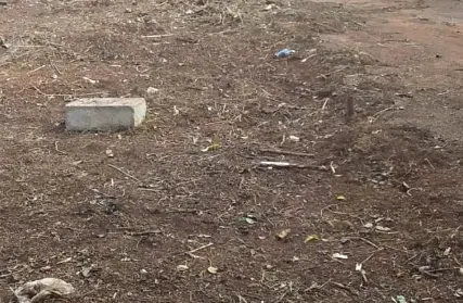 Imagem: Terreno para Venda, Santa Maria