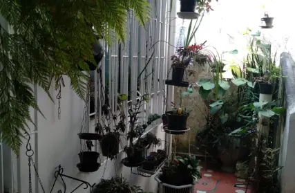 Imagem: Sobrado para Venda, Oswaldo Cruz