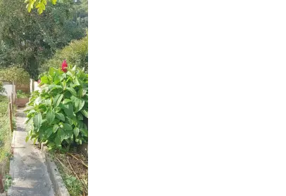 Imagem: Casa Térrea para Venda, Roncon