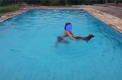 Imagem: Chácara / Sítio para Venda, Somma