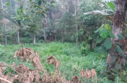 Imagem: Terreno para Venda, Represa