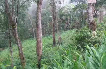 Imagem: Terreno para Venda, Represa