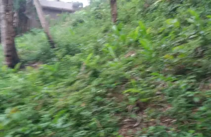 Imagem: Terreno para Venda, Represa