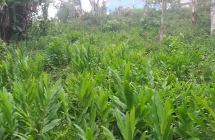 Imagem: Terreno para Venda, Represa