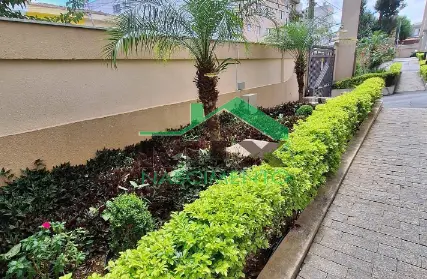 Imagem: Apartamento para Alugar, Taboão