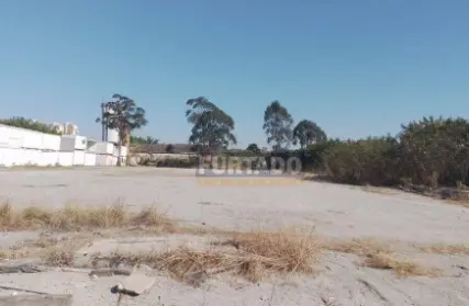 Imagem: Terreno para Alugar, Parque Jaçatuba