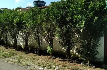 Imagem: Sobrado para Venda, Cidade Recreio da Borda do Campo