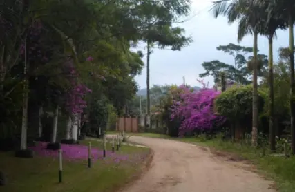 Imagem: Condomínio Fechado para Alugar, Balneário Palmira