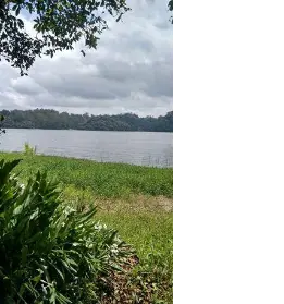 Imagem: Condomínio Fechado para Alugar, Balneário Palmira