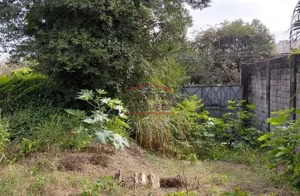 Imagem: Terreno para Venda, Suíço