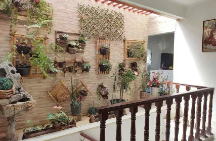 Imagem: Imóvel para Renda para Venda, Nova Gerti