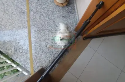 Imagem: Casa Térrea para Venda, Rudge Ramos