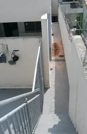 Imagem: Apartamento para Alugar, Vila Dirce