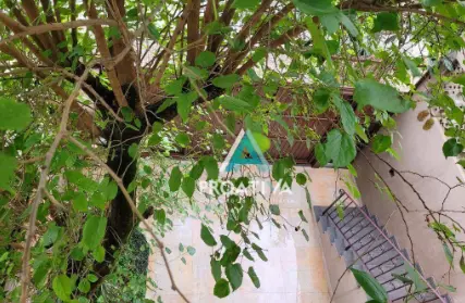 Imagem: Sobrado para Alugar, Vila Alpina