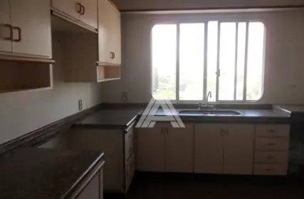 Imagem: Apartamento para Alugar, Vila Alzira