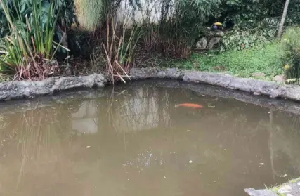 Imagem: Chácara / Sítio para Venda, Chácara Engenho da Serra