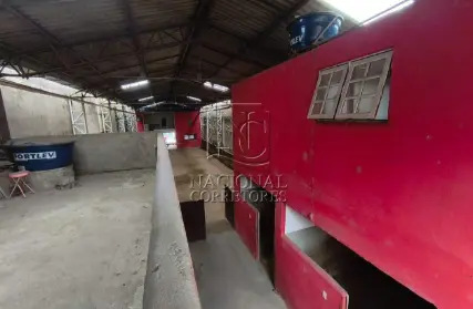 Imagem: Ponto Comercial para Venda, Campestre
