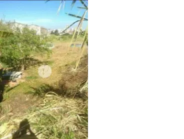 Imagem: Terreno para Alugar, Jardim Jamaica