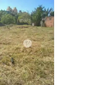 Imagem: Terreno para Alugar, Jardim Jamaica