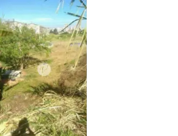 Imagem: Terreno para Alugar, Jardim Jamaica