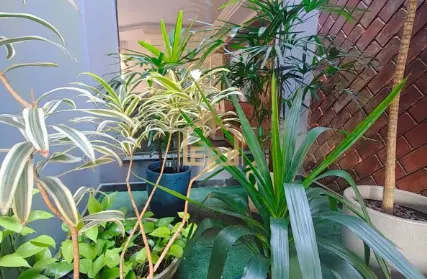 Imagem: Sobrado para Venda, Parque Espacial