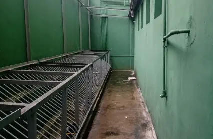 Imagem: Galpão / Salão para Alugar, Paulicéia