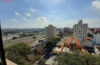 Imagem: Apartamento para Venda, Vila Mussolini