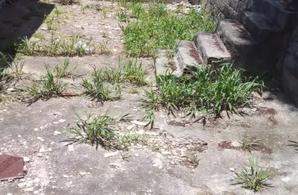 Imagem: Terreno para Venda, Baeta Neves