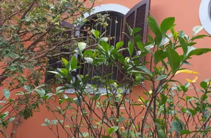 Imagem: Casa Térrea para Venda, Jardim Hollywood