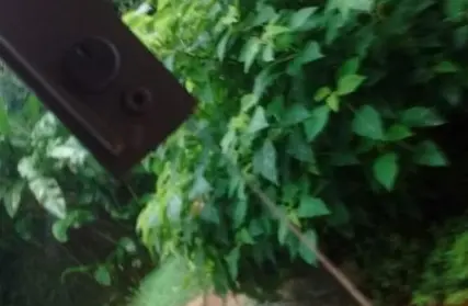 Imagem: Sobrado para Venda, Parque Anchieta