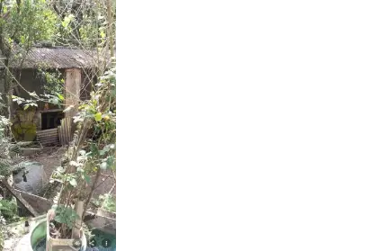 Imagem: Chácara / Sítio para Venda, Tatetos