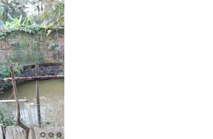 Imagem: Chácara / Sítio para Venda, Tatetos