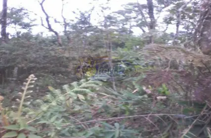 Imagem: Terreno para Venda, Royal Park