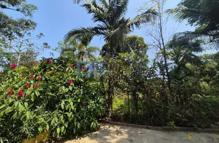 Imagem: Chácara / Sítio para Venda, Tatetos