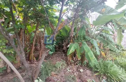 Imagem: Terreno para Venda, Paraíso