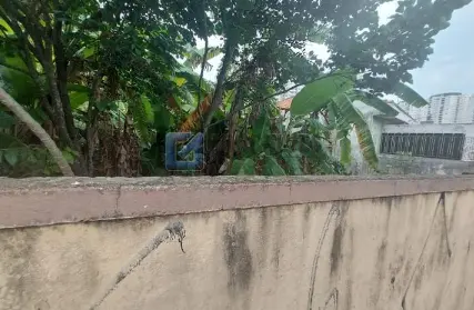 Imagem: Terreno para Venda, Paraíso