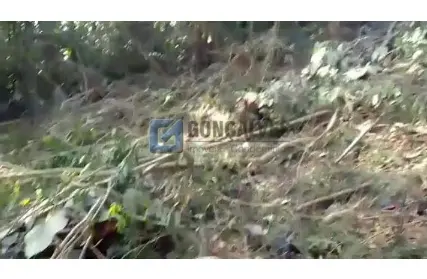 Imagem: Terreno para Venda, Roncon