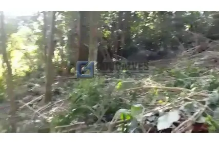 Imagem: Terreno para Venda, Roncon