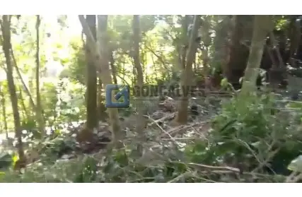 Imagem: Terreno para Venda, Roncon