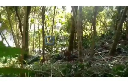 Imagem: Terreno para Venda, Roncon