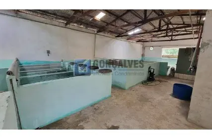 Imagem: Ponto Comercial para Venda, Batistini