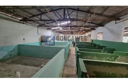 Imagem: Ponto Comercial para Venda, Batistini