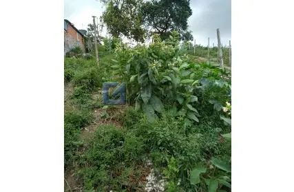 Imagem: Terreno para Venda, Alvarenga