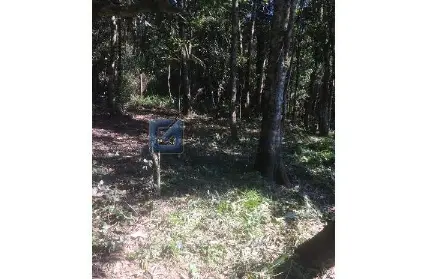 Imagem: Terreno para Venda, Riacho Grande