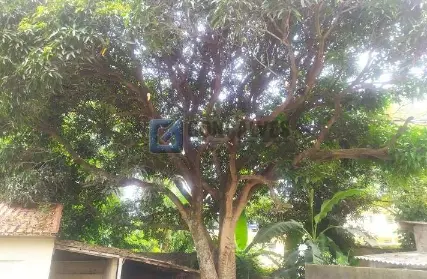 Imagem: Condomínio Fechado para Venda, Paulicéia