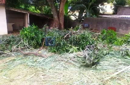 Imagem: Condomínio Fechado para Venda, Paulicéia