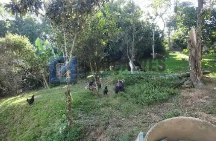 Imagem: Chácara / Sítio para Venda, Rio Grande