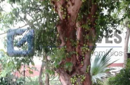 Imagem: Terreno para Venda, Vila Camilópolis